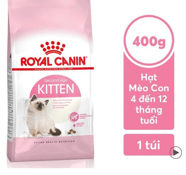 Thức Ăn Hạt Cho Mèo Con Royal Canin Kitten 36