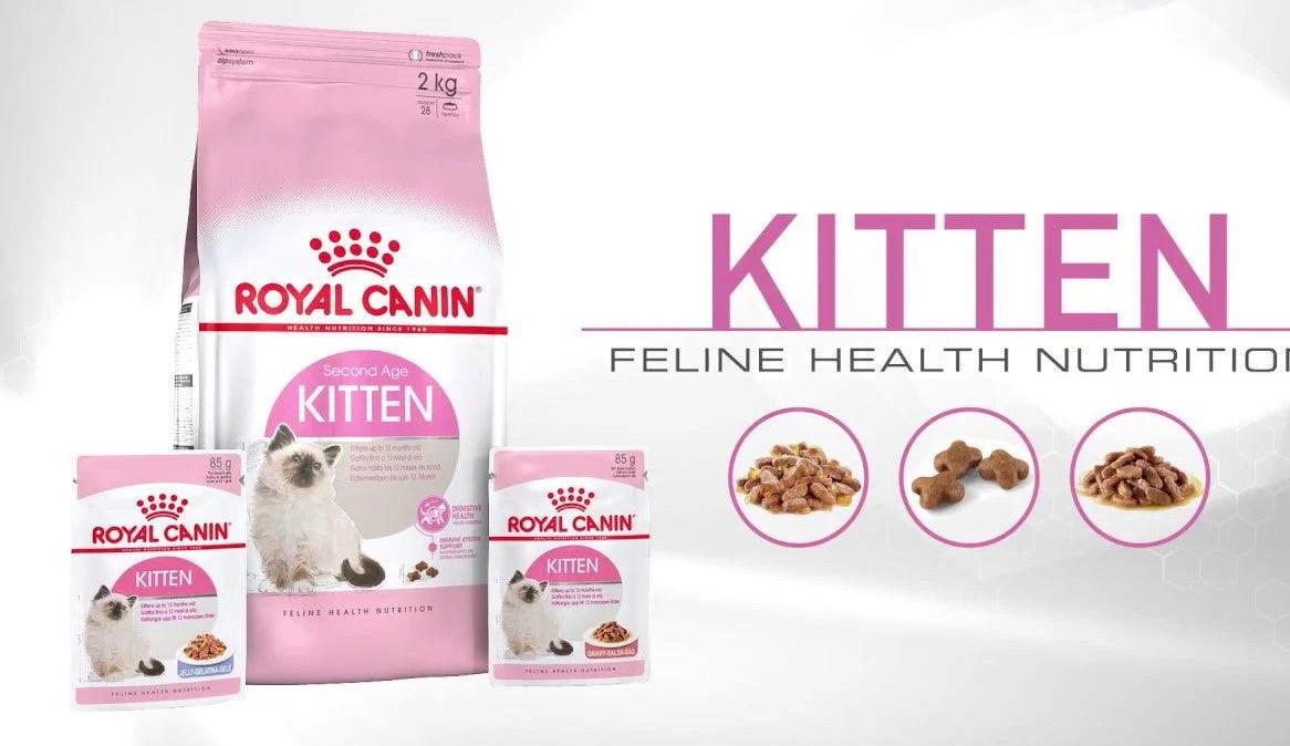 Thức Ăn Hạt Cho Mèo Con Royal Canin Kitten 36 - Ảnh 4