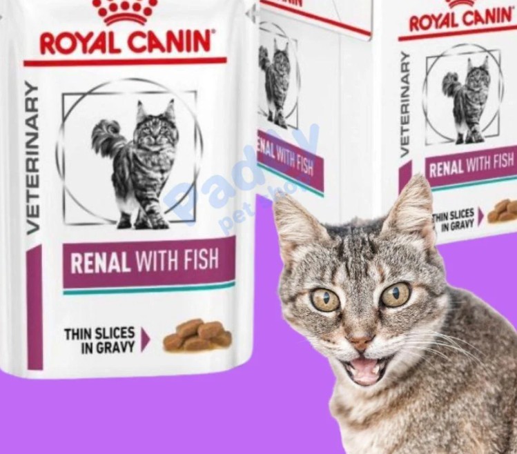 Pate Cho Mèo Hỗ Trợ Thận Vị Cá Royal Canin Renal Cat 85g - Ảnh 5